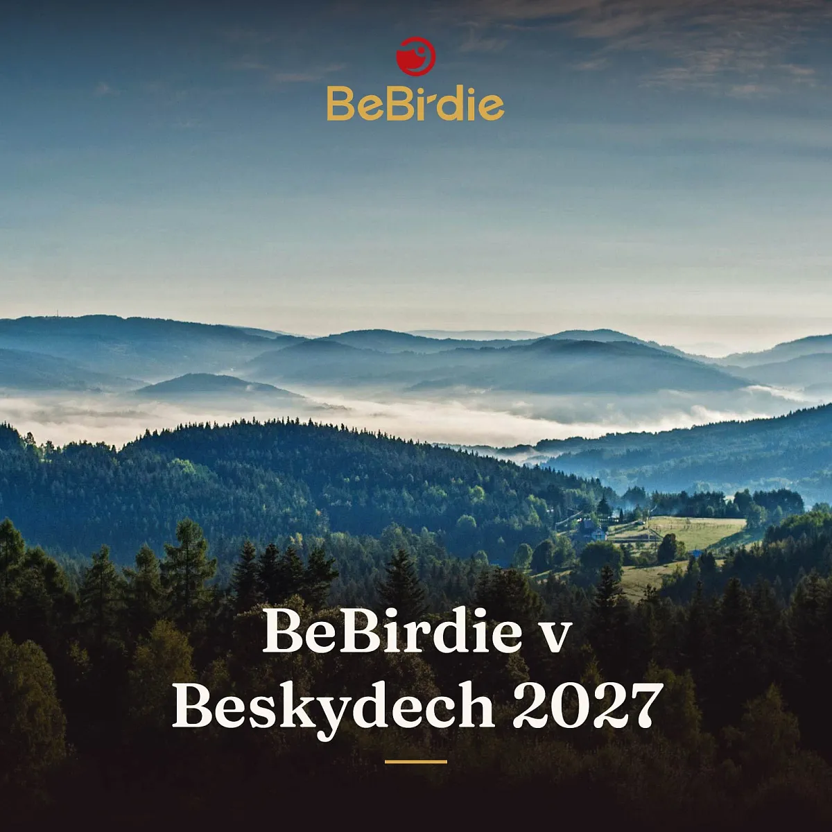 BeBirdie v Beskydech