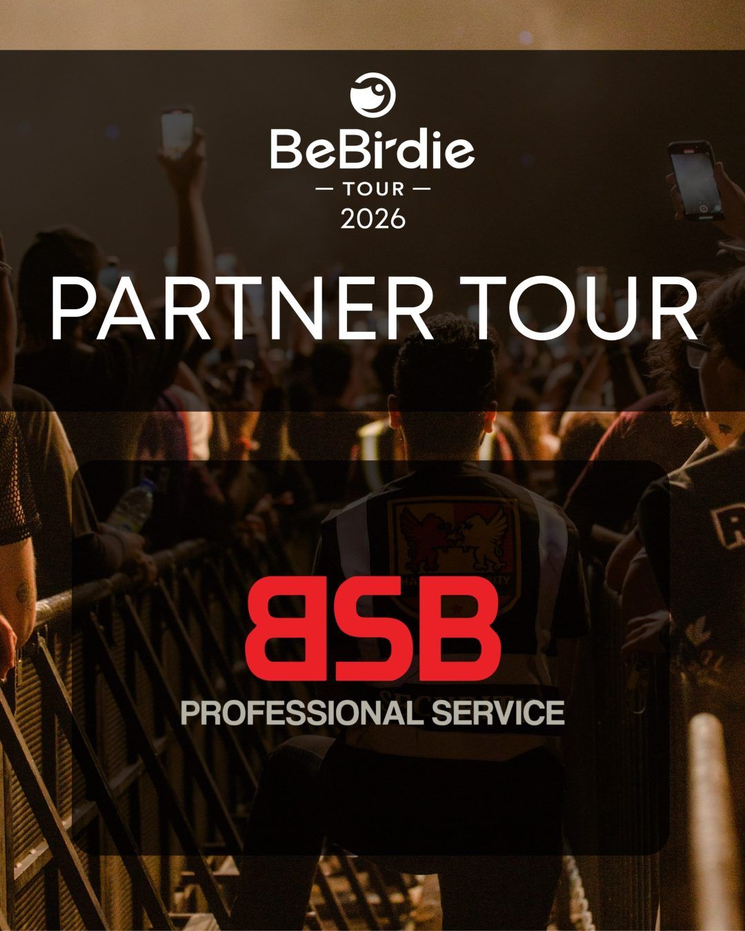 Partner Tour 2026 – BSB Professional Service